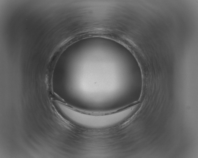 X0000073861402200609071621