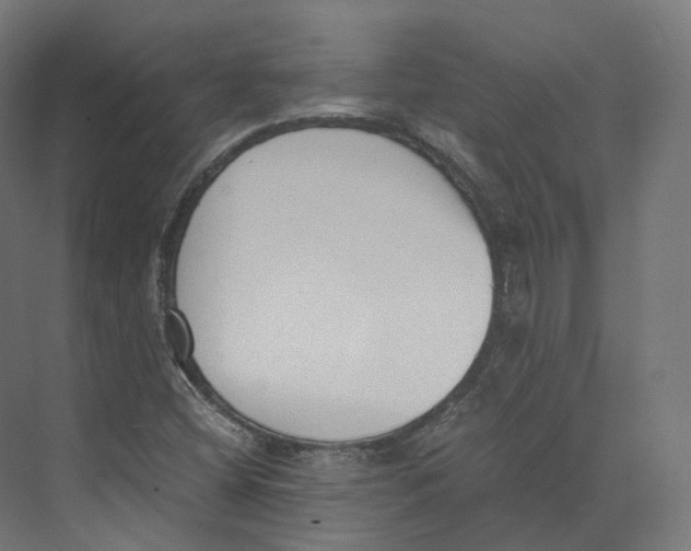 X0000073861404200609071621