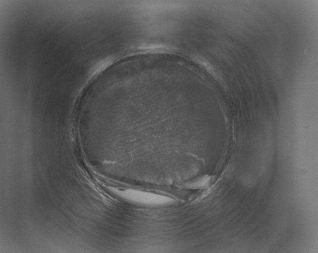 X0000073861405200609071621