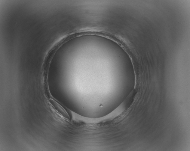 X0000073861406200609071621