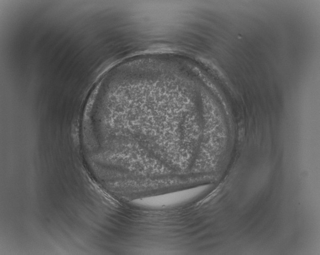 X0000073861409200609071621