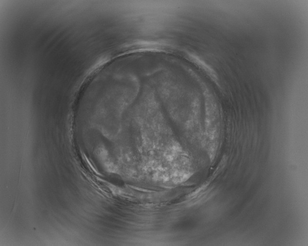 X0000073861411200609071621