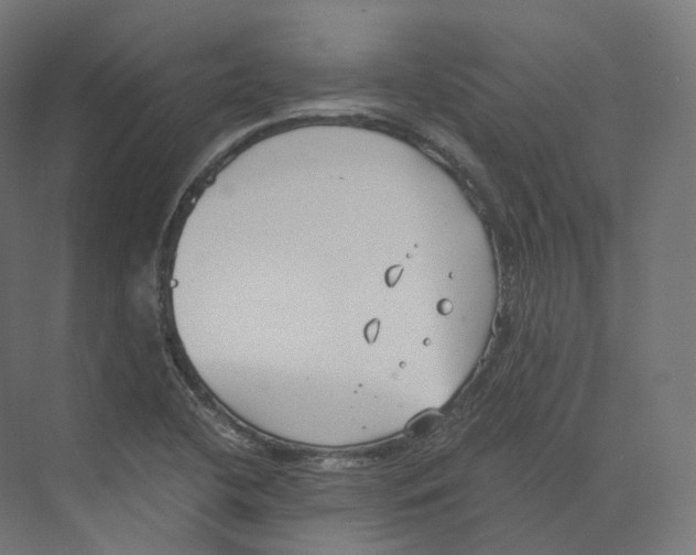 X0000073861412200609071621