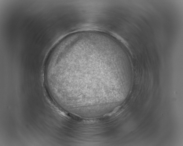 X0000073861415200609071621