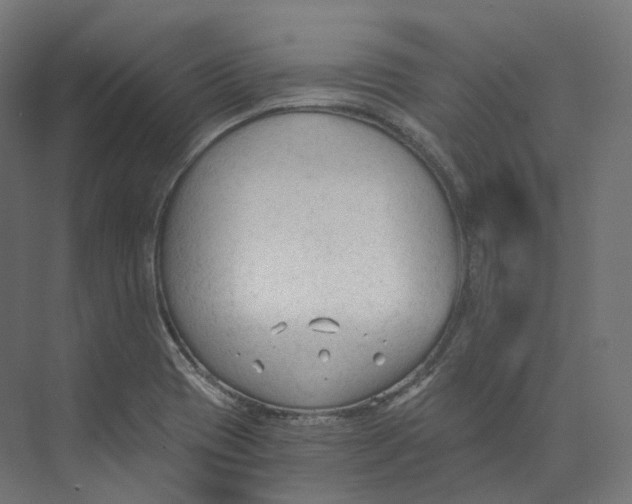 X0000073861417200609071621