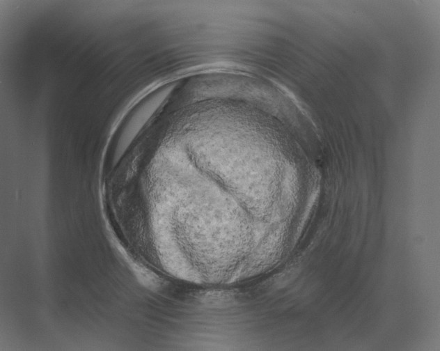 X0000073861418200609071621