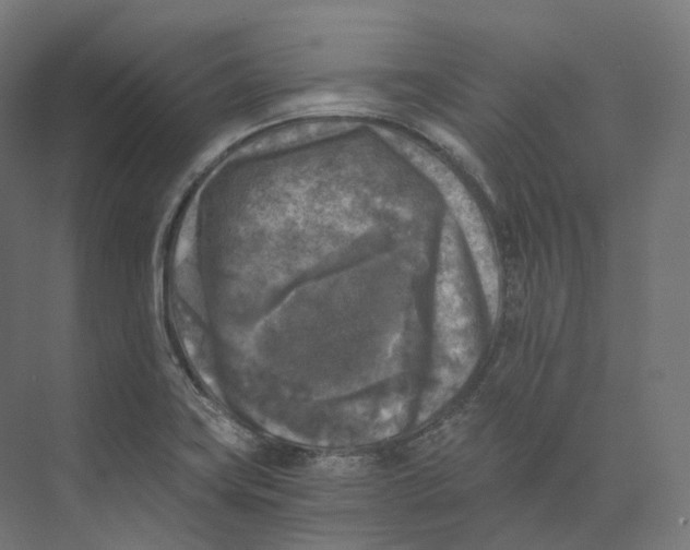 X0000073861419200609071621