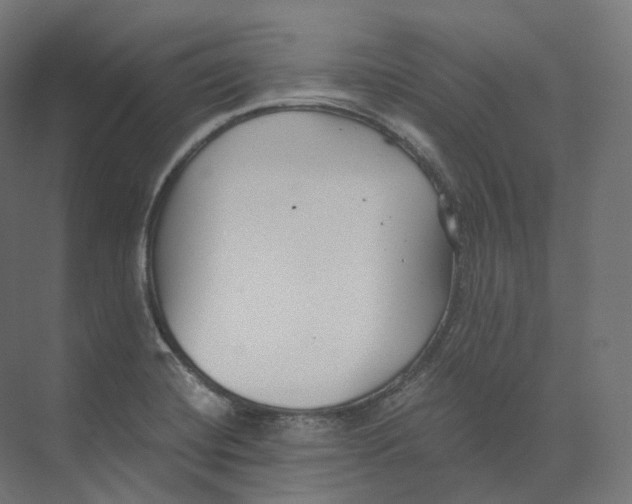 X0000073861420200609071621