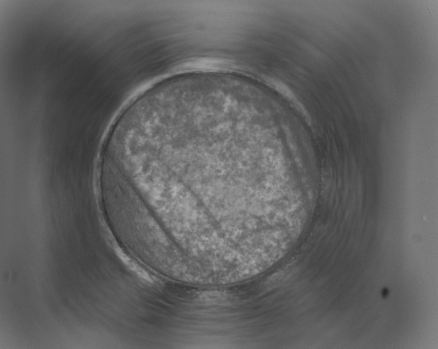 X0000073861421200609071621