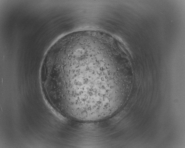 X0000073861422200609071621