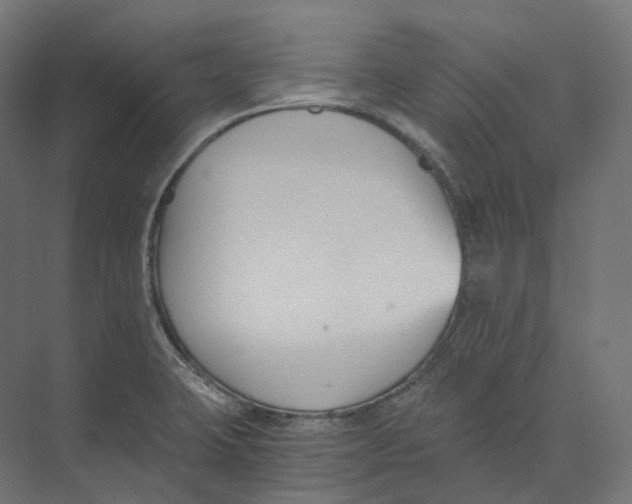 X0000073861423200609071621