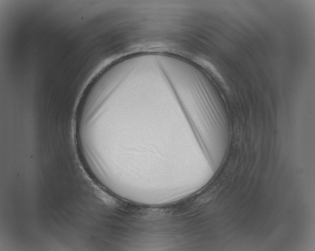 X0000073861424200609071621