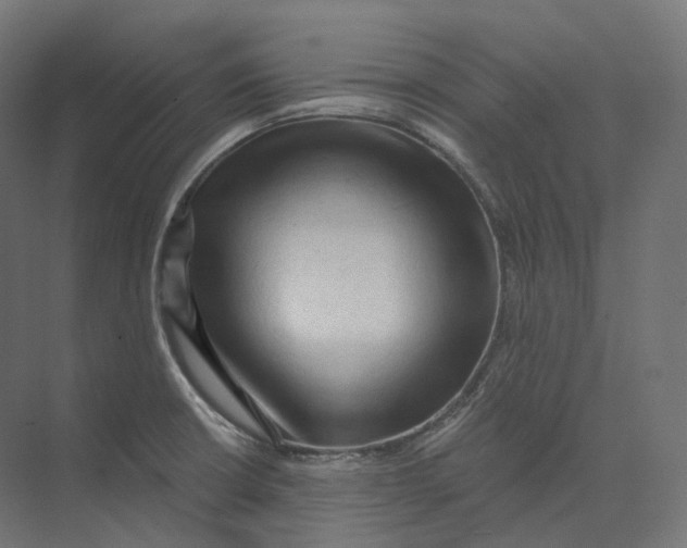 X0000073861426200609071621