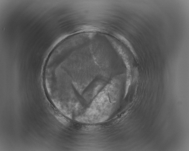 X0000073861427200609071621