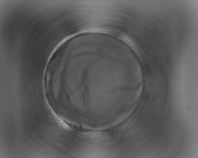 X0000073861428200609071621