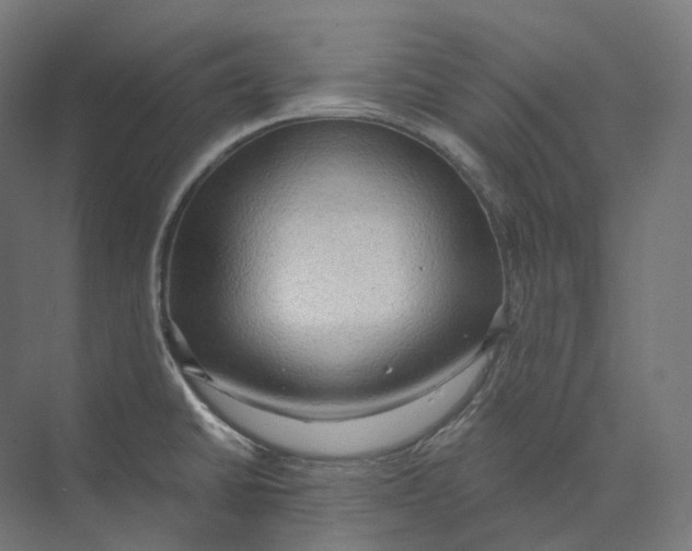 X0000073861430200609071621