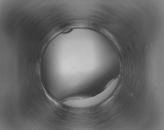 X0000073861433200609071621