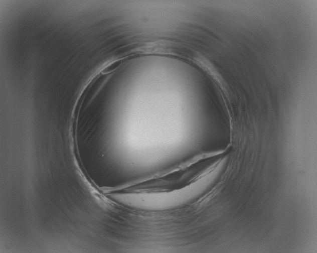 X0000073861434200609071621