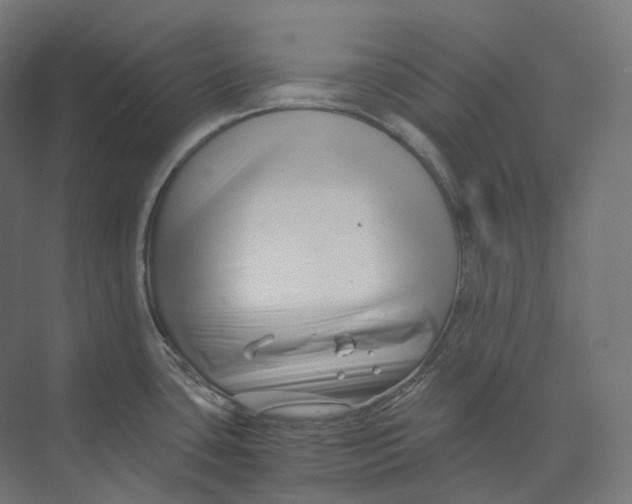 X0000073861435200609071621