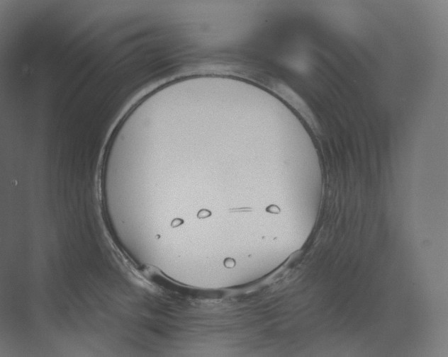 X0000073861436200609071621