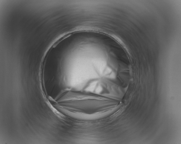 X0000073861438200609071621