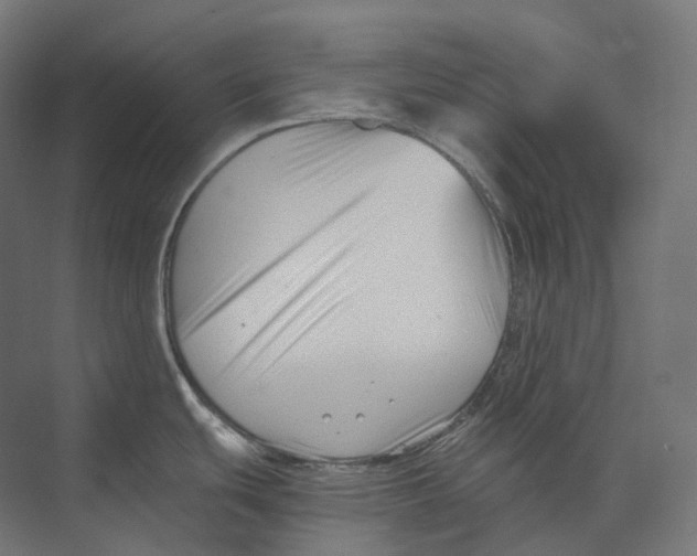 X0000073861439200609071621