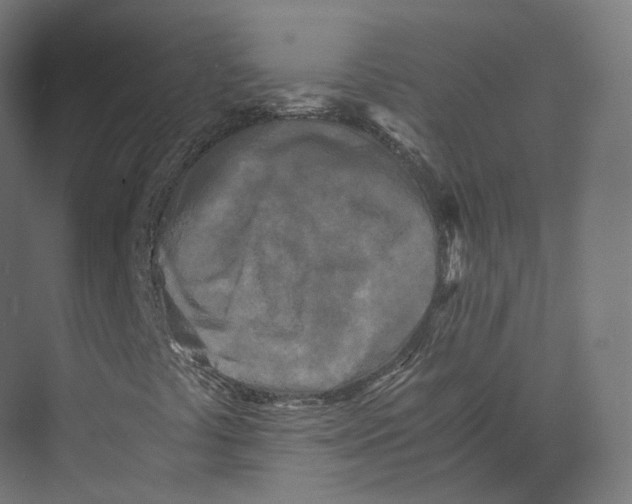 X0000073861441200609071621