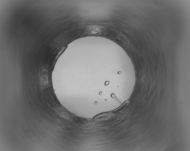 X0000073861442200609071621