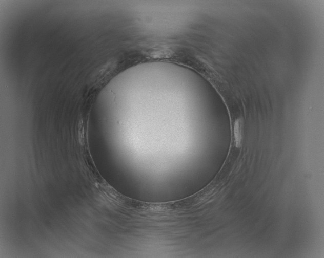 X0000073861443200609071621