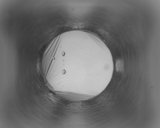 X0000073861444200609071621