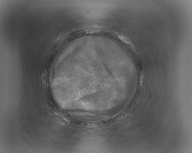 X0000073861445200609071621