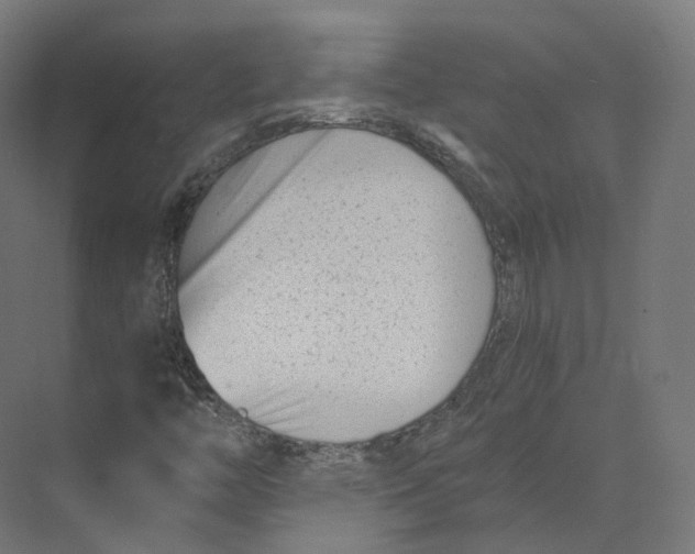 X0000073861446200609071621