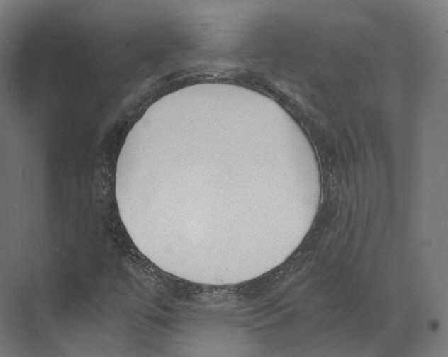 X0000073861447200609071621