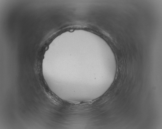 X0000073861448200609071621