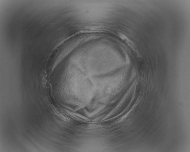 X0000073861449200609071621