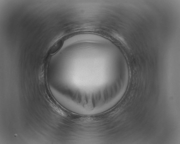 X0000073861450200609071621