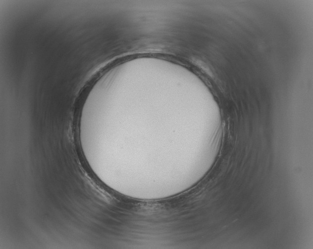 X0000073861452200609071621