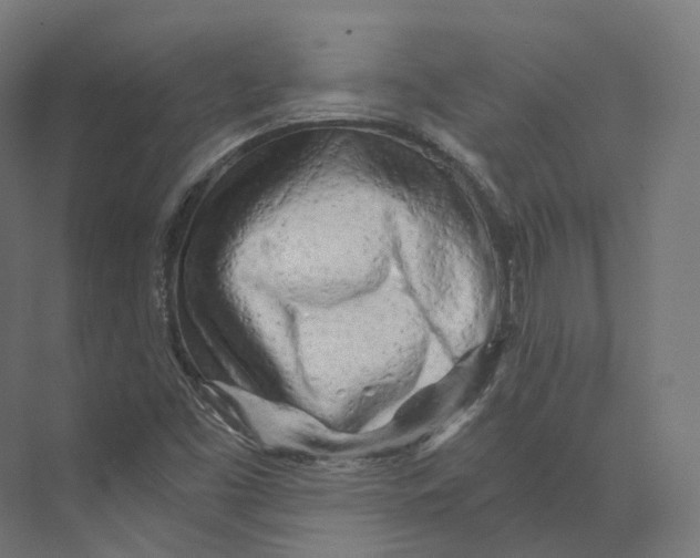 X0000073861453200609071620