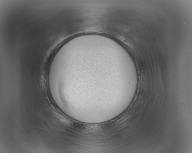 X0000073861454200609071620