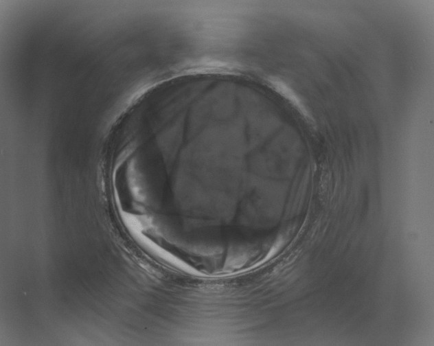 X0000073861455200609071620