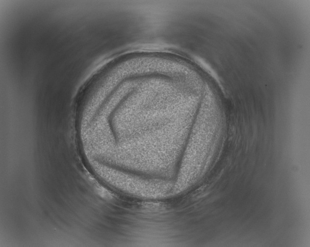 X0000073861456200609071620