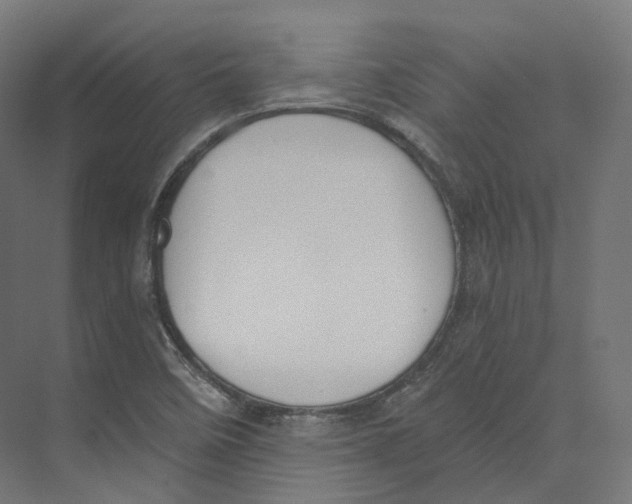 X0000073861458200609071620