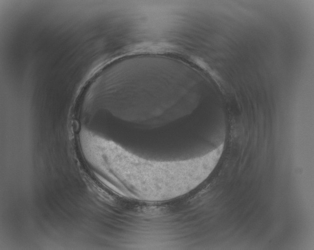 X0000073861459200609071620