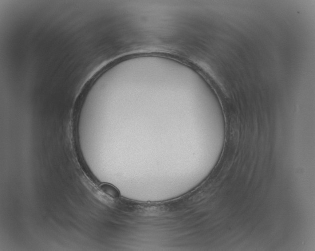 X0000073861460200609071620