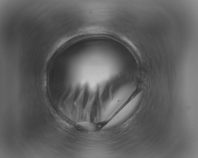 X0000073861461200609071620