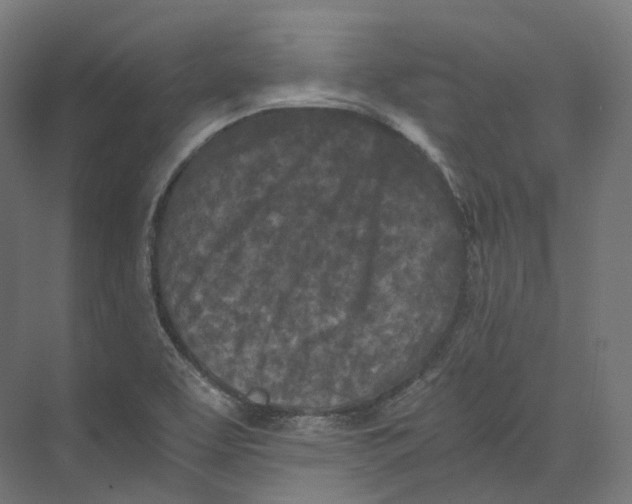 X0000073861463200609071620