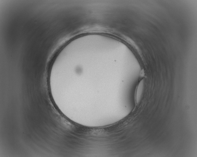 X0000073861464200609071620