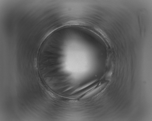 X0000073861465200609071620