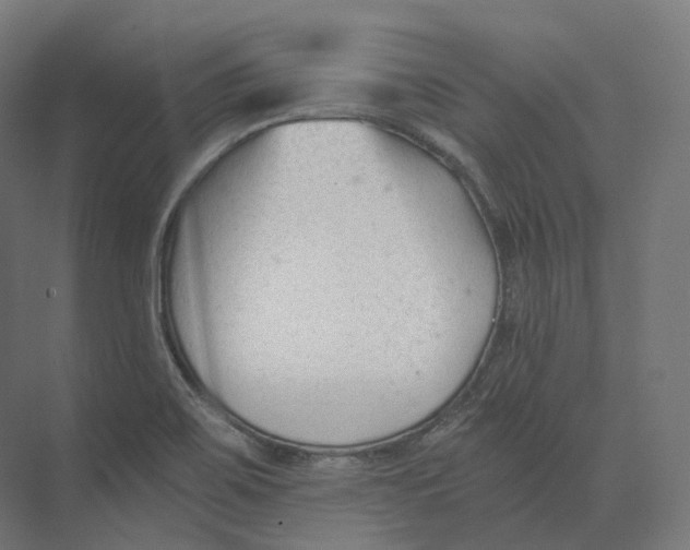 X0000073861467200609071620