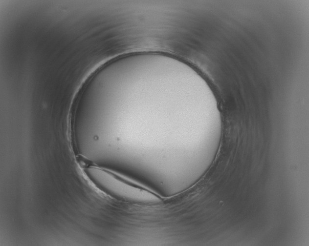 X0000073861468200609071620